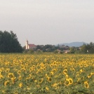 Panorama of the curch in the municipality of Obid